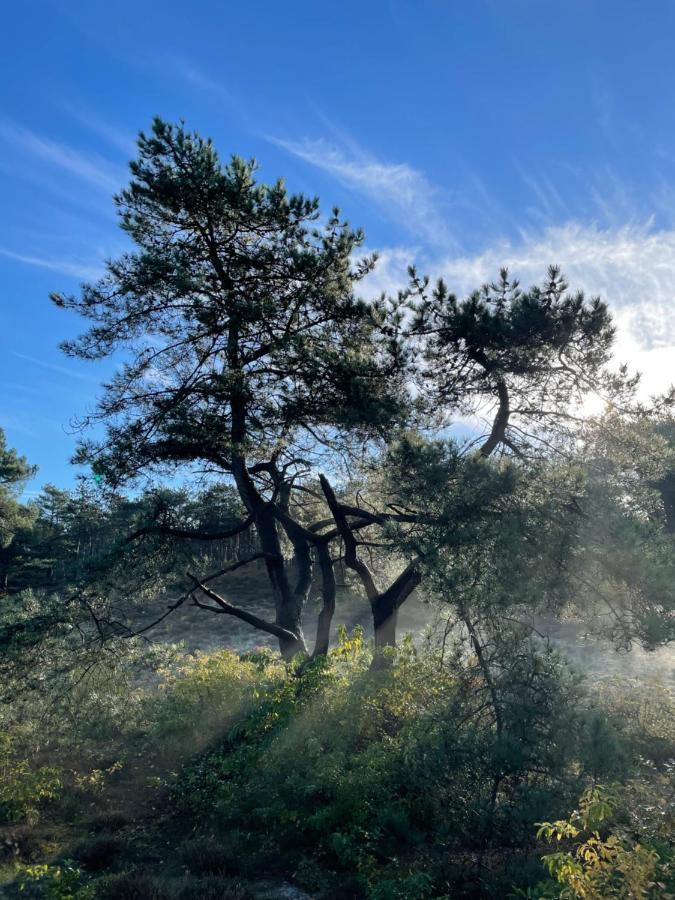The Forester Schoorl Eksteriør billede